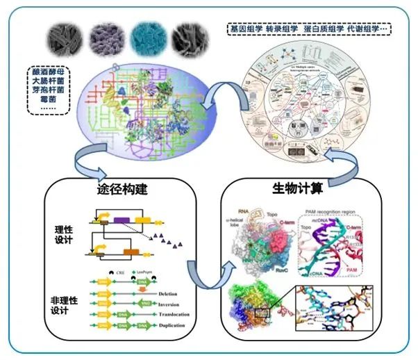 新奥门2024资料免费