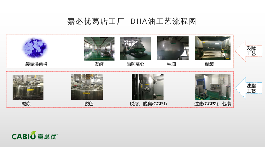 新奥门2024资料免费