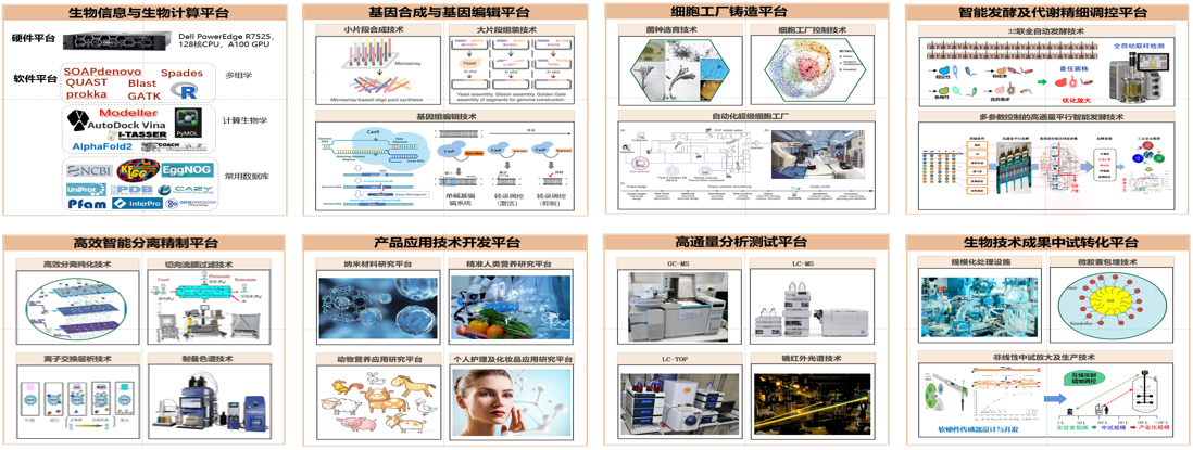 新奥门2024资料免费